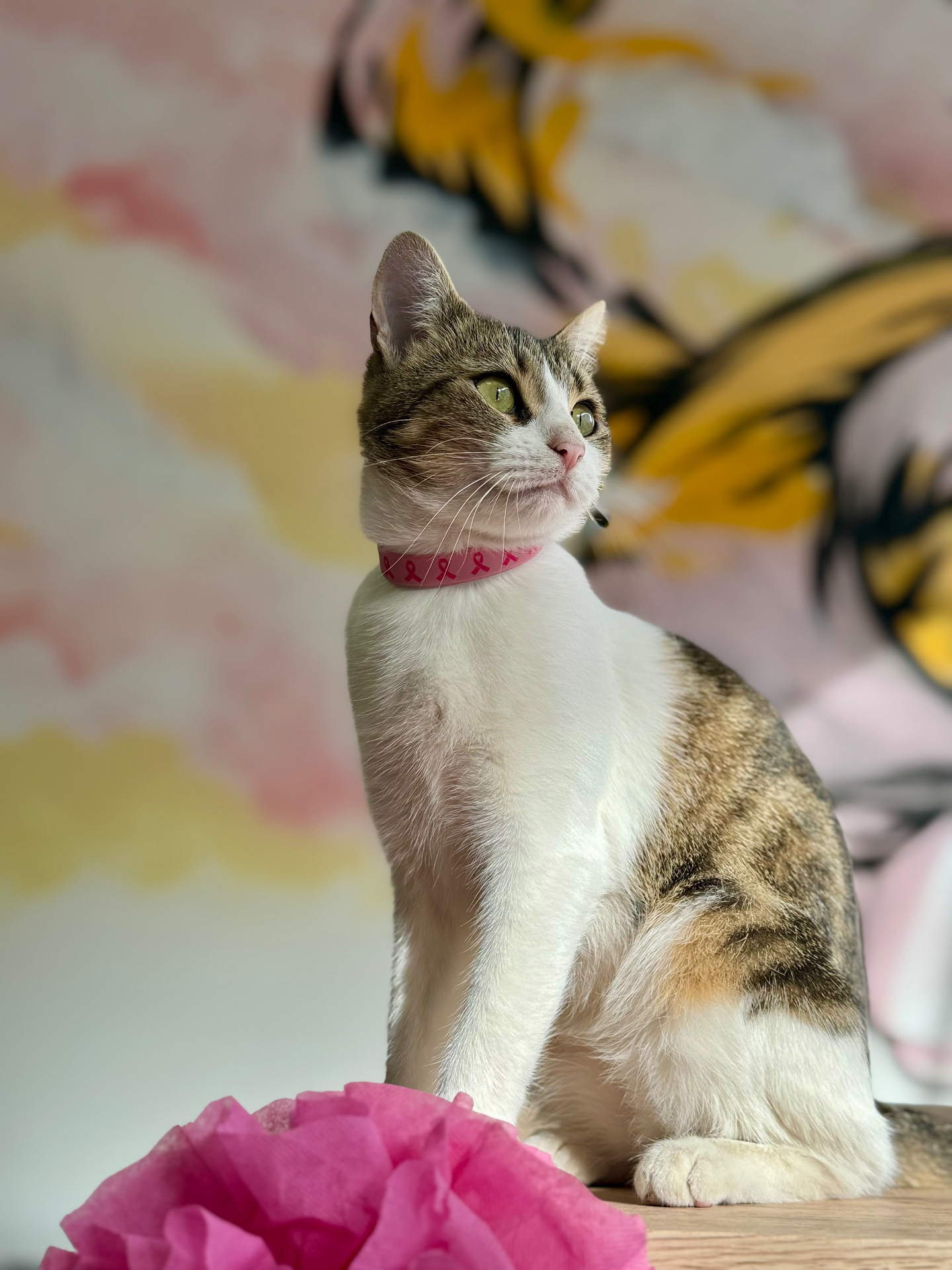 Chat devant la fresque